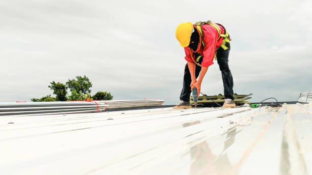 Best Roof Moss and Algae Removal  in Haddon Heights, NJ